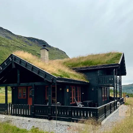 Modern Sauna, Bbq & Beautiful View Filefjell *