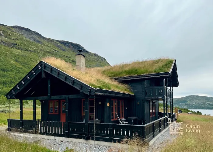 Modern Sauna, Bbq & Beautiful View Filefjell *