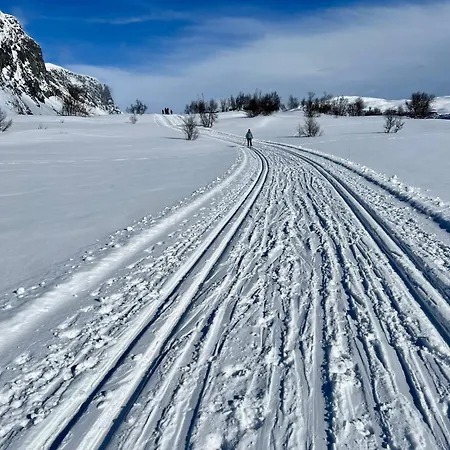 Modern Sauna, Bbq & Beautiful View Filefjell Holiday home Tyinkrysset